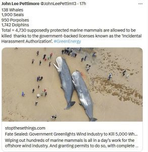 Killing Whales with wind.JPG