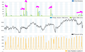 Pittsboro July Rain.PNG
