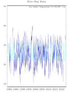 Screen Shot 2023-11-04 at 9.31.18 am.png