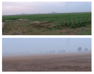Two Adjacent Fields.PNG