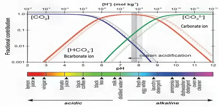 pH scale