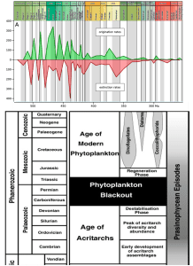orovician biodiversity permian blackout.png