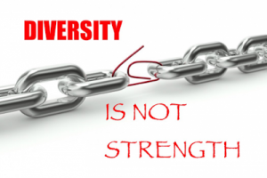 Diversity-is-not-strength