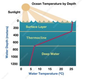 Ocean-Thermocline