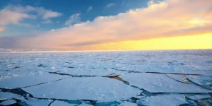 Sea Ice