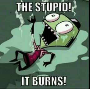 the-stupid-it-burns-32684811