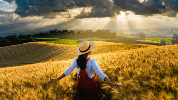CCR-AI-woman-in-wheat-field