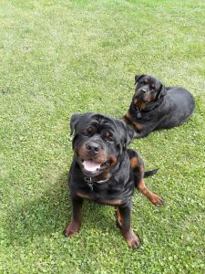 thumbnail_20220820_135906