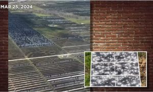 SolarPanels_Damaged_DamonTx_Mar24_2024