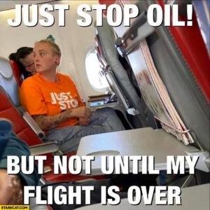 just-stop-oil-but-not-until-my-flight-is-over-environmental-activist-in-a-plane