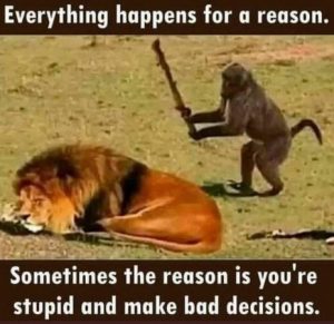 everything