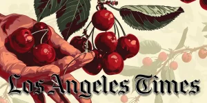 latimes_picking_cherries__cherry_midjourney