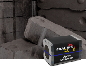 lignite-briquettes-large_31