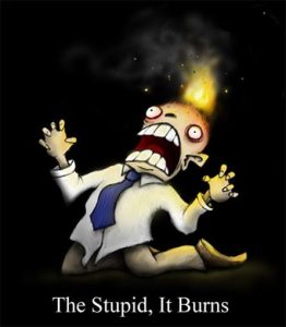 the-stupi-it-burns