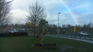 WIN_20211119_12_32_20_Pro