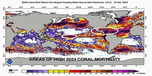 areas of high coral mortality 2023
