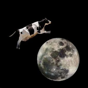 cow-jumped