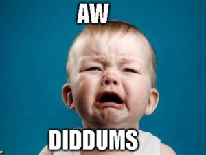 diddums