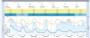 forecast