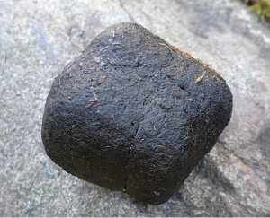 wombat-turd