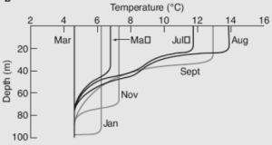 Mixed-Layer-Temp-Depth-Month