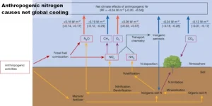 Nitrogen cooling the planet