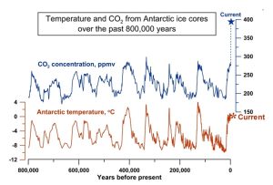 CO2-no-effect