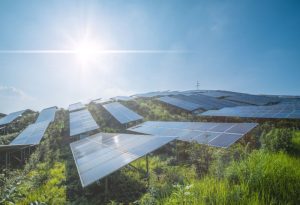 GettyImages-1385275906-800x546