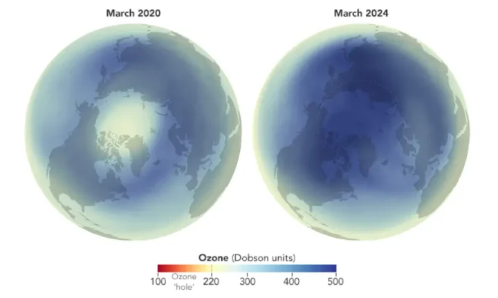 Arctic Ozone Polar Map