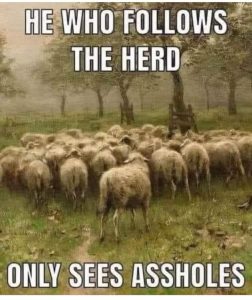Assholes