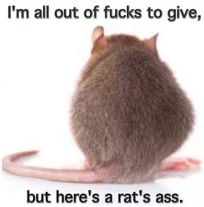 Screenshot-at-2024-09-07-11-04-50