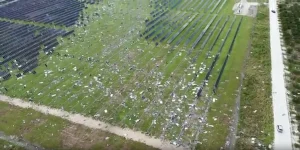 hurricane milton solar farm damage