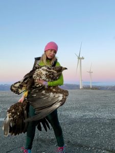 wind_norway_havorn_eaglewind2105-Line-Harbak-Havorn-i-hendene-scaled