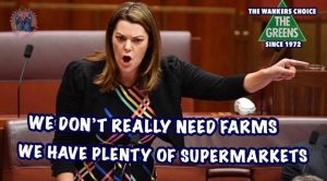 main-qimg-c0860ee0ee8b1ba9f31824ba34c7572e