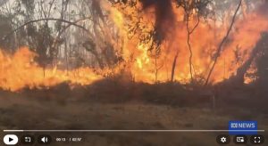 Grampions-Fire-20241222