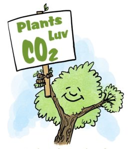 Plants-Luv-CO2.2