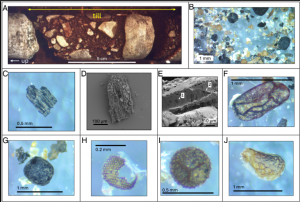 Greenland-Life-250k-ago-768x517
