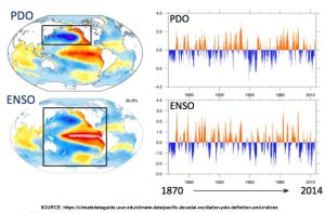 PDO