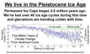 Pleistocene