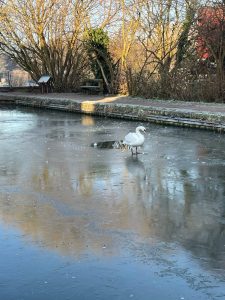 Retford-Canal-20250111