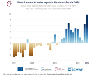 Screen-Shot-2025-01-11-at-2.47.23-PM