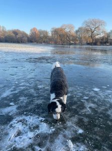 Shack-on-ice