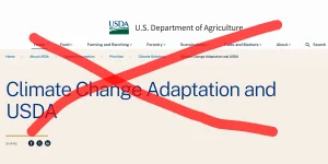 USDA