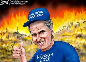 branco newsom california fire