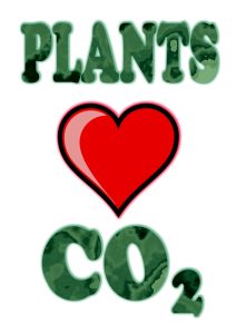 Plants-love-co2