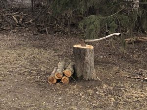 Tree-Stump-Axe