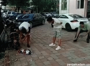 Failed-Attempted-Prank-with-Shovel