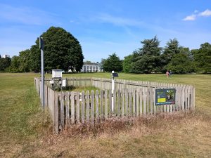 IMG_20250514_155458604b