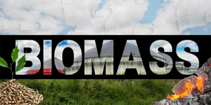 biomass feature image shernikau