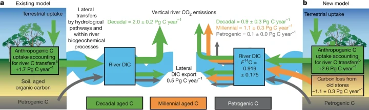 Existing model in which river CO2 is only derived from young, rapid-cycling carbon (decadal-aged = green); lateral DIC export to the coast is considered a mixture of decadal and petrogenic inputs (grey). By accounting for these river carbon losses, it is estimated that 1.7 Pg C year−1 of anthropogenic carbon emitted to the atmosphere may be accumulating in the rapid-cycling terrestrial carbon pools3; anote that this estimate is based on a lower estimate of vertical river CO2 emissions of 1.51 Pg C year−1. b, Revised conceptual model based on the assembled F14C values of river DIC, CO2 and CH4 presented here; millennial carbon inputs are needed from organic matter degradation in soils or river sediments (orange) as well as petrogenic carbon from rock weathering to explain the observed F14C values in our database. This revised conceptual model indicates a loss of carbon from an old (millennial) store on land through vertical river CO2 emissions; a first-order estimate of the impact on the partitioning of carbon in the biosphere and soils is provided (b).